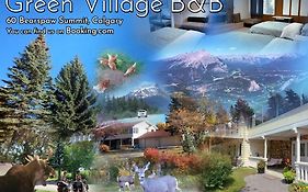 Green Village